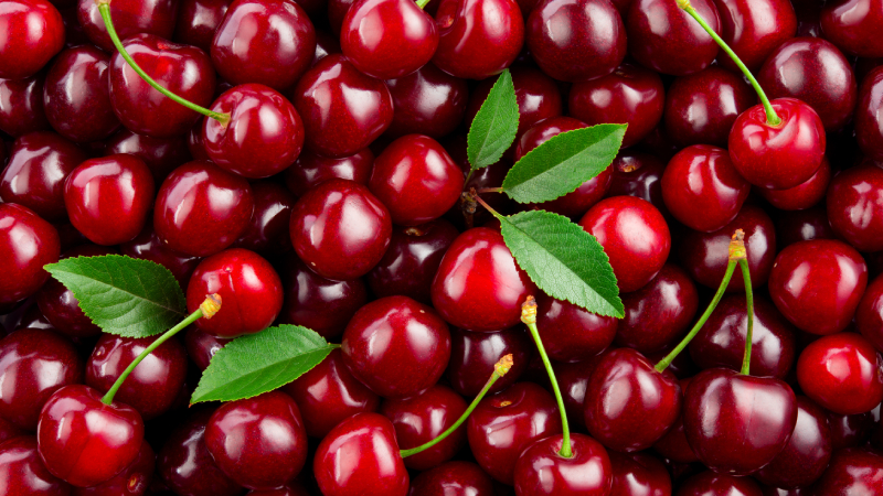 Cómo mejorar la calidad y vida útil de las cerezas.jpg